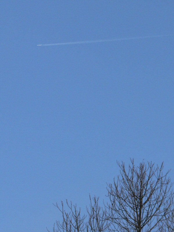 b0057612_13245036.jpg