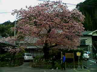 e0102214_0205165.jpg