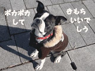 e0080117_20313957.gif