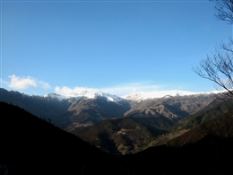 e0002820_20412898.jpg