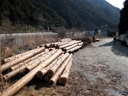 e0002820_2047294.jpg