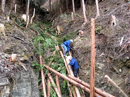 e0002820_20494550.jpg