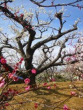 c0094621_18291442.jpg