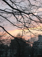 d0107326_0261671.jpg