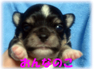 b0078030_4424946.gif