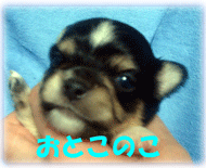 b0078030_4431781.gif