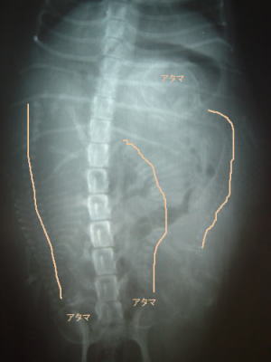 b0001440_145715100.jpg