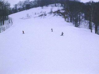 f0065341_0504251.jpg