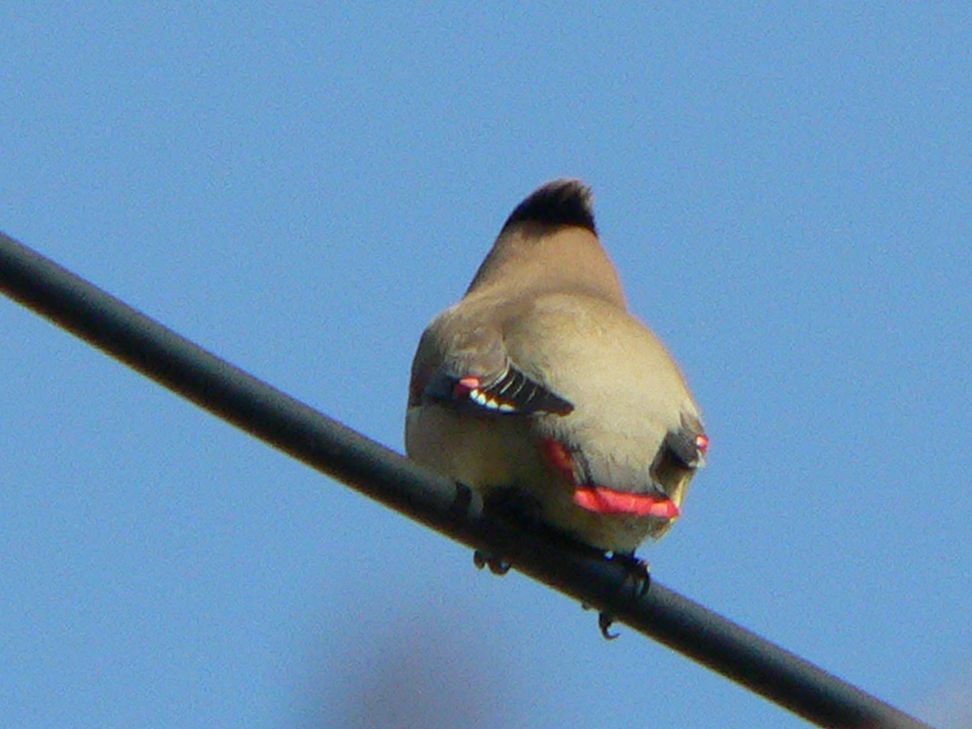 f0124451_105522.jpg