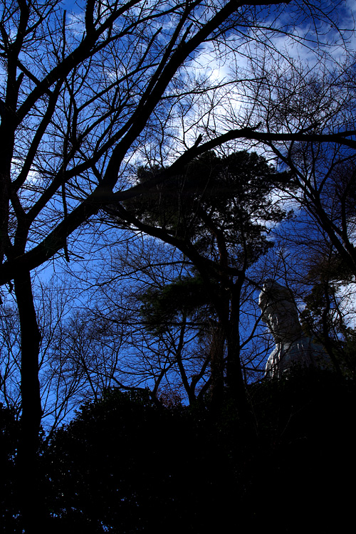 c0114161_2335939.jpg