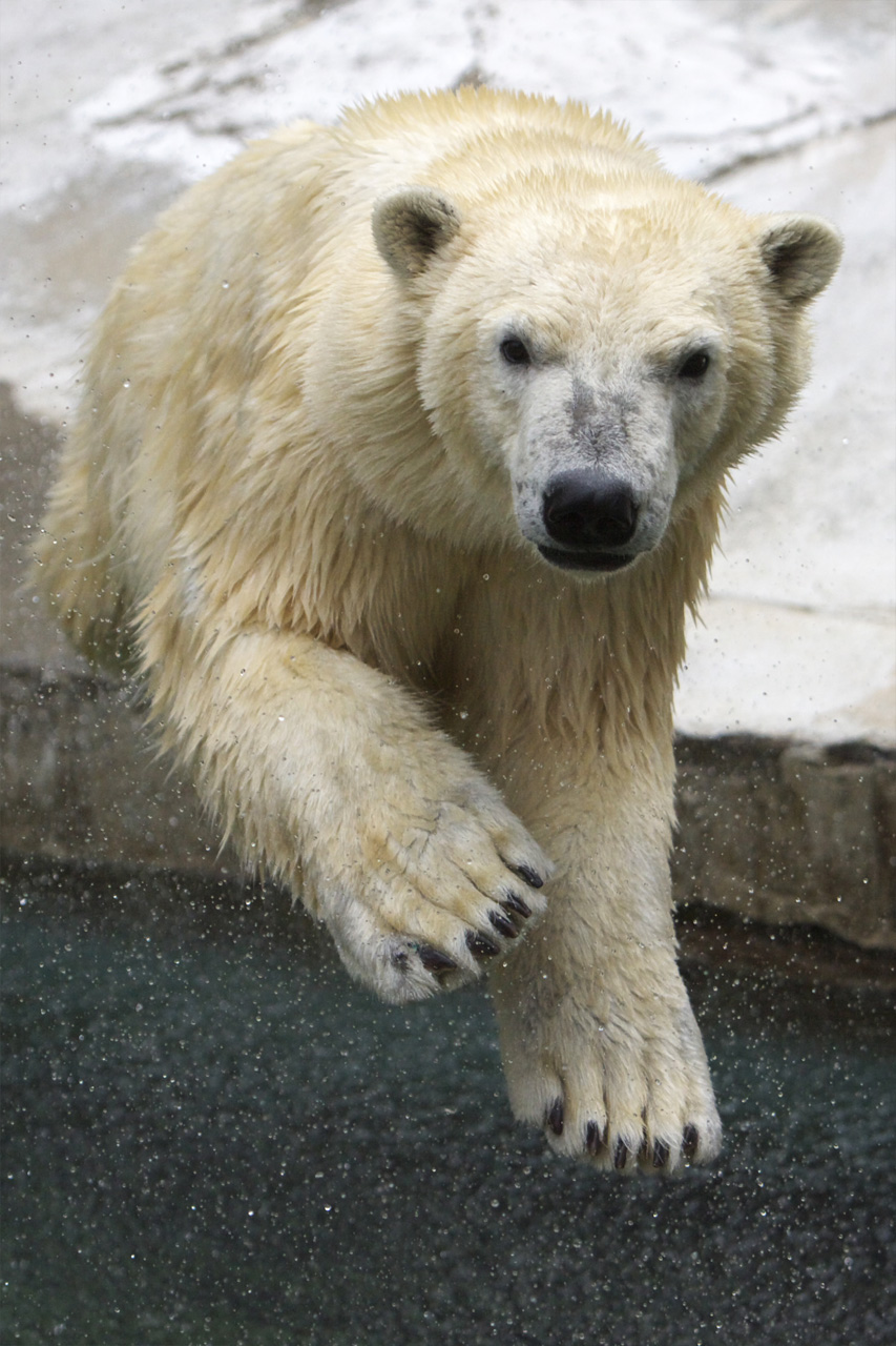 e0060169_722426.jpg