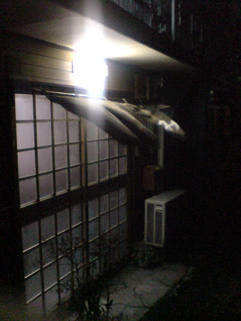 e0078069_9191821.jpg