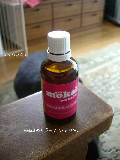 b0000885_103446.jpg