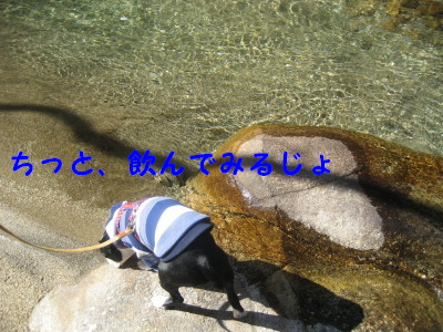 c0092787_1741359.jpg