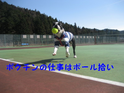 c0092787_17472261.jpg