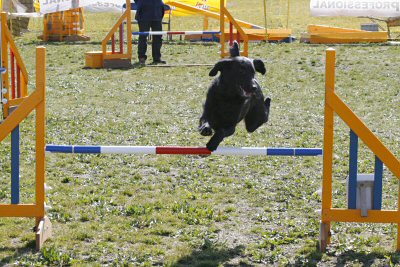c0050400_22155251.jpg