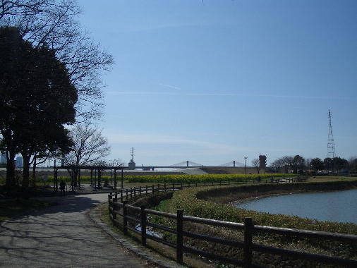 a0051402_1515722.jpg