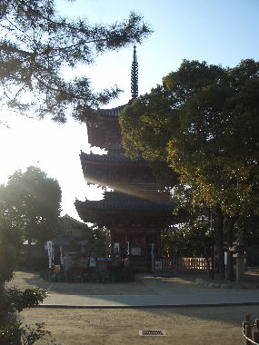 a0051402_1734843.jpg