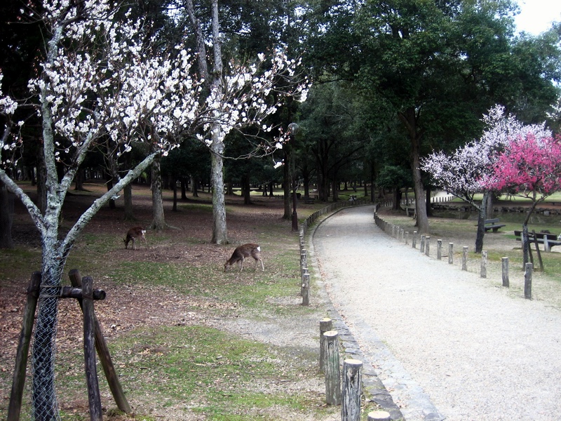 c0043403_20572114.jpg