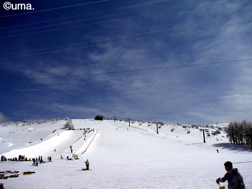 b0061004_110159.jpg