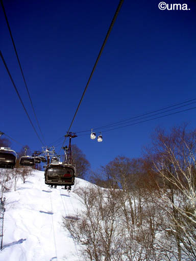 b0061004_15424454.jpg