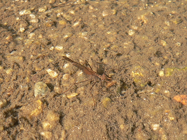 e0002314_22195928.jpg