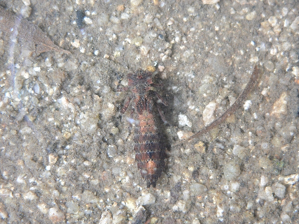 e0002314_22201525.jpg