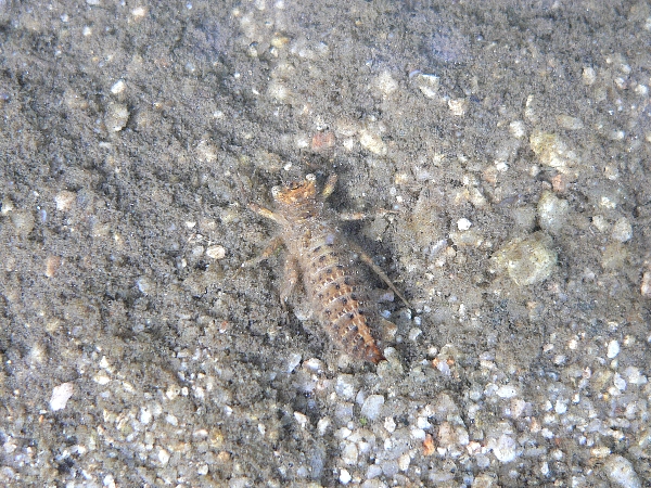 e0002314_22214897.jpg