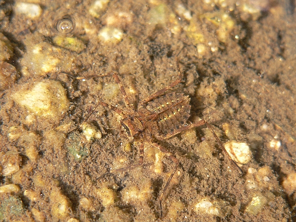 e0002314_22231569.jpg
