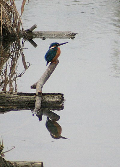f0031423_21404739.jpg