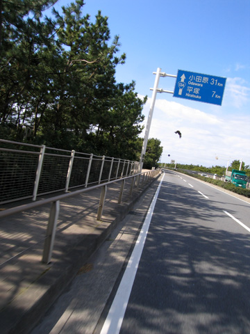 e0089826_955413.jpg