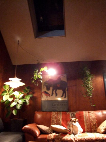 f0124526_2373493.jpg