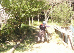 e0002927_8405228.jpg
