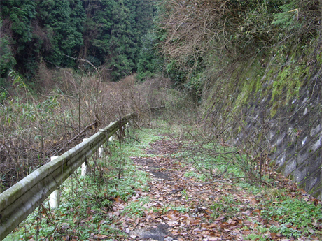 f0128527_22432133.jpg