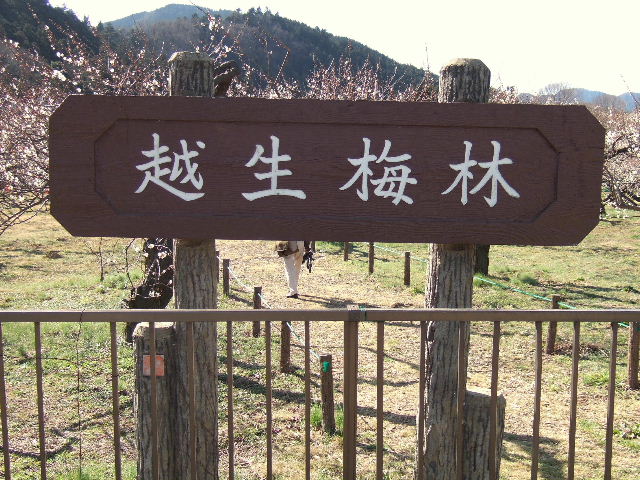 e0064133_0521841.jpg