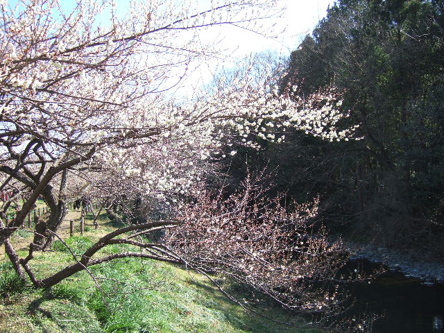 e0064133_0523218.jpg