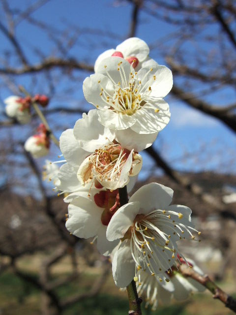 e0064133_0551438.jpg