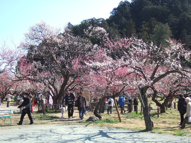 e0064133_0553378.jpg