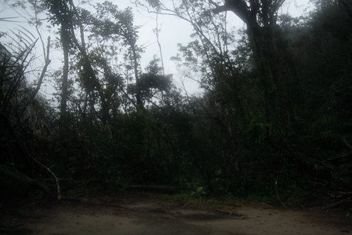 c0014035_227460.jpg