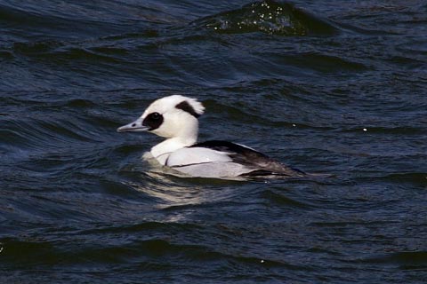 b0043440_9544471.jpg