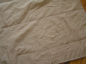 e0104941_3353625.jpg