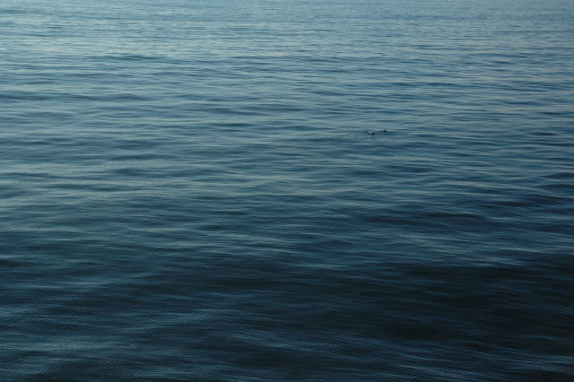 e0052044_1264533.jpg