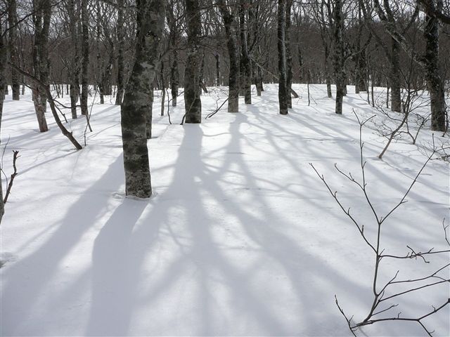 c0081645_23483551.jpg