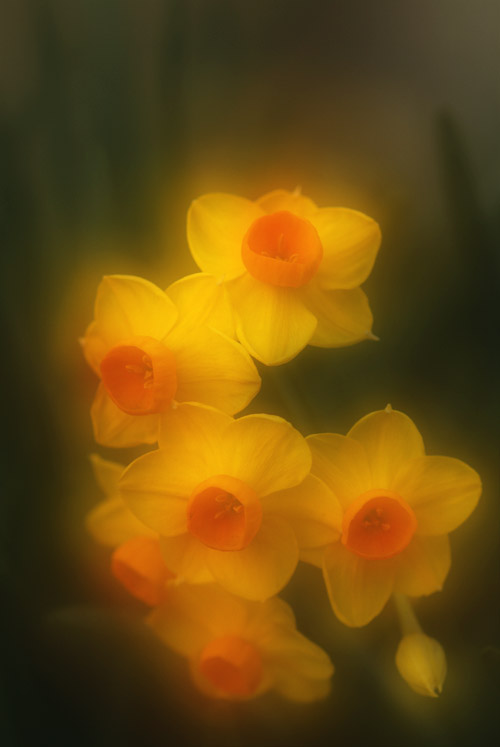 a0003746_16571115.jpg