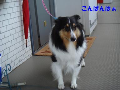 f0046854_20112781.jpg