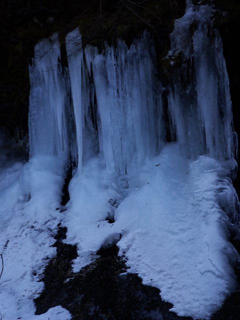 f0033856_8582093.jpg