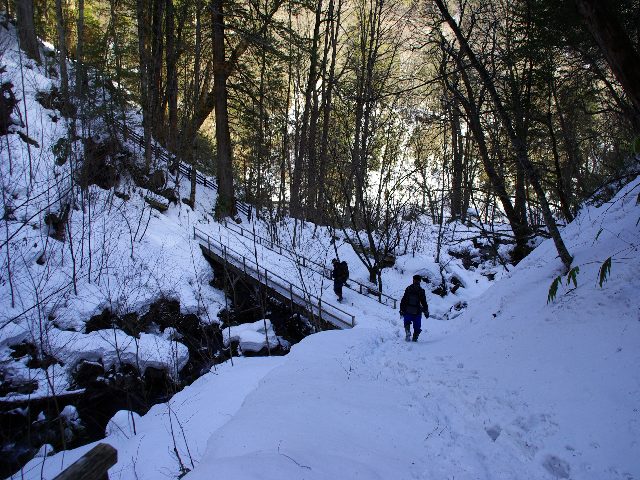 f0033856_85943.jpg