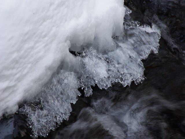 f0033856_943249.jpg