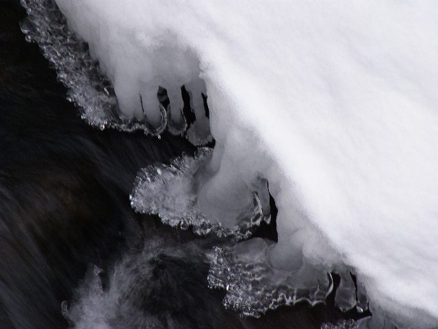 f0033856_952760.jpg
