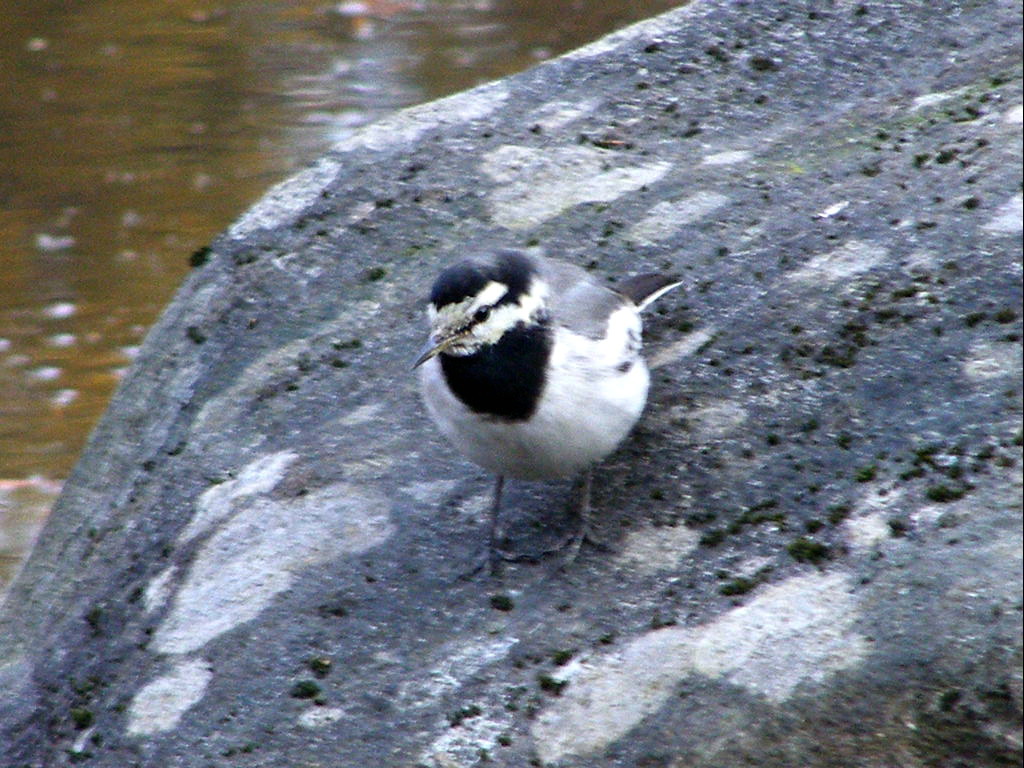 e0064158_0594553.jpg